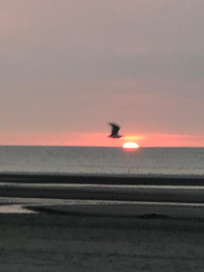 Appartement Sur La Plage De Malo Les Bains Vue Mer Dunkirk المظهر الخارجي الصورة