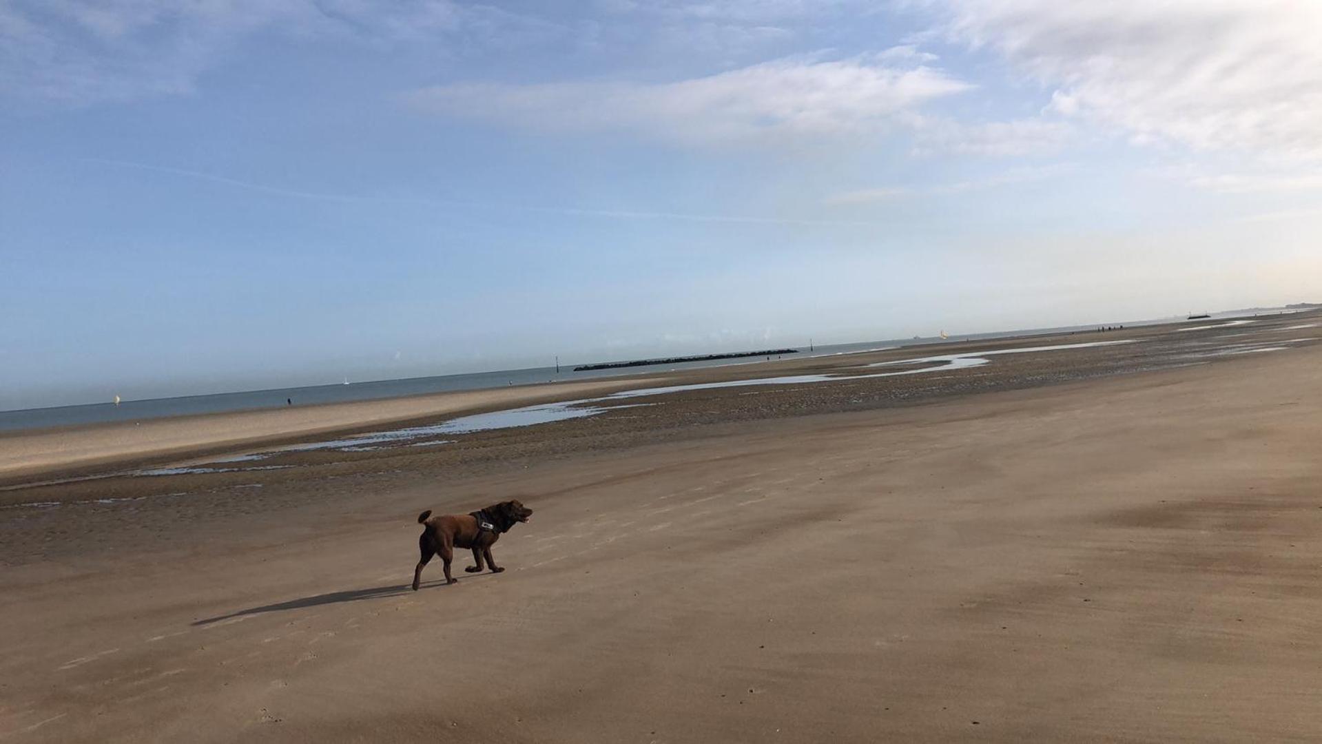 Appartement Sur La Plage De Malo Les Bains Vue Mer Dunkirk المظهر الخارجي الصورة