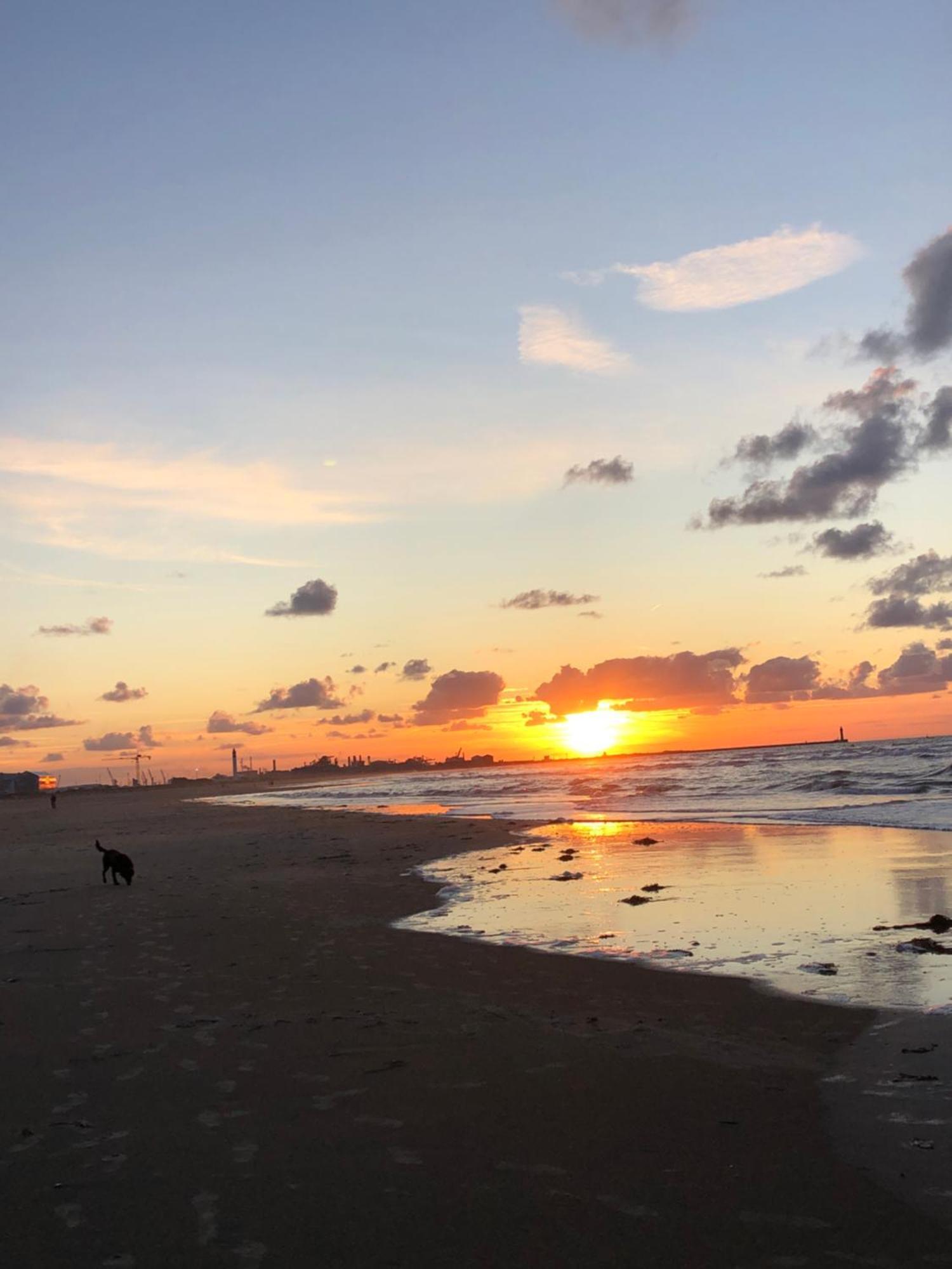 Appartement Sur La Plage De Malo Les Bains Vue Mer Dunkirk المظهر الخارجي الصورة